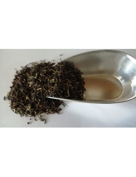 Sikkim Temi